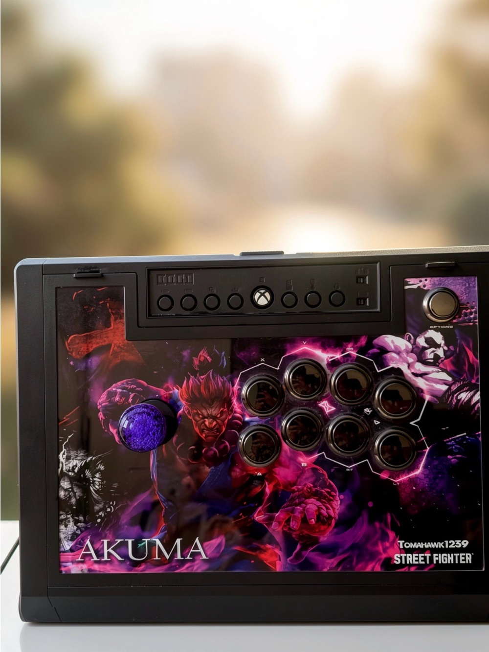 Akuma Street Fighter Arcade Stick Hori       (xbox series s) Custom